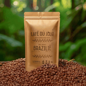 Brazilian Coffee Beans - Café du Jour