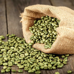 Green coffee, lotus leaf, green tea and ganoderma ingredients in Slim Green Coffee