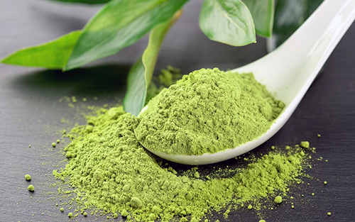 Green Tea Powder