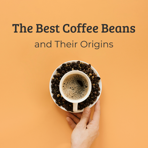 Best Coffee Beans