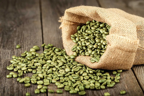 Understanding Green Coffee